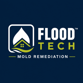 mold remediation